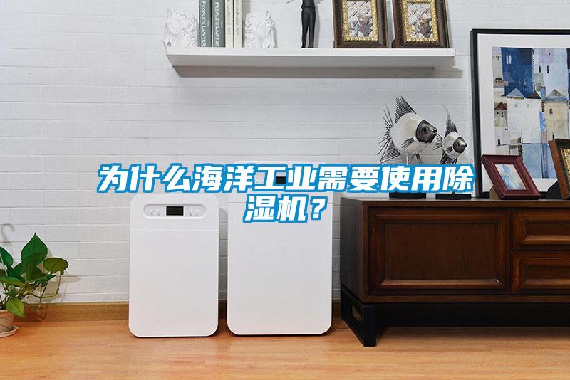 為什么海洋工業需要使用除濕機？