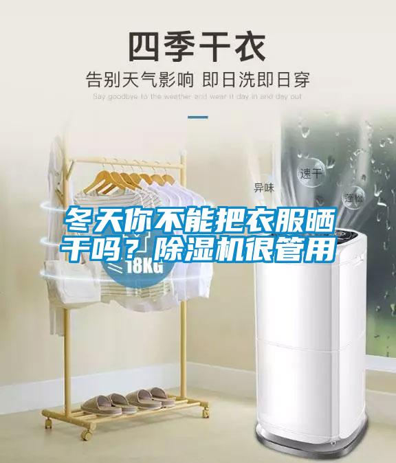 冬天你不能把衣服曬干嗎？除濕機很管用