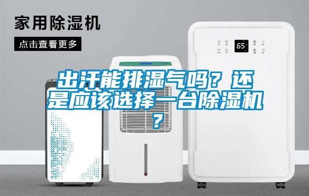 出汗能排濕氣嗎？還是應(yīng)該選擇一臺(tái)除濕機(jī)？