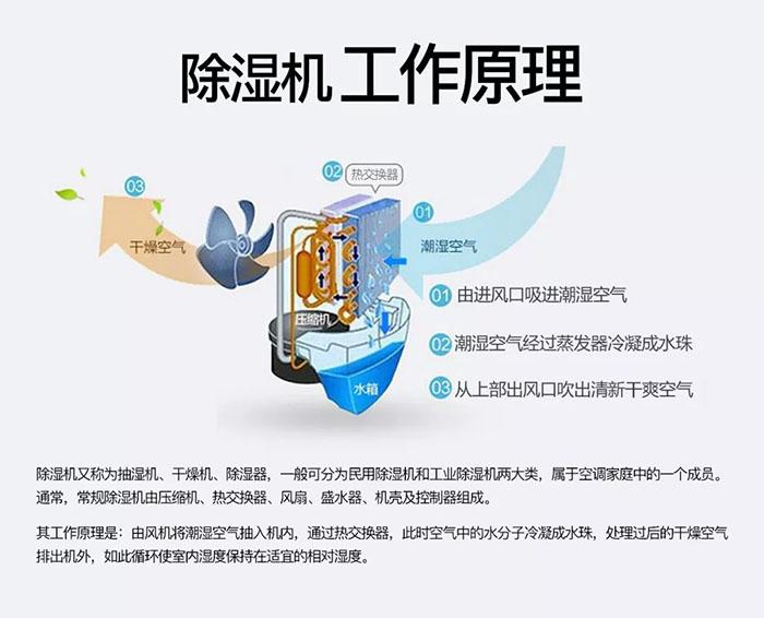南北之爭：南方的濕冷比北方的干冷更變態？