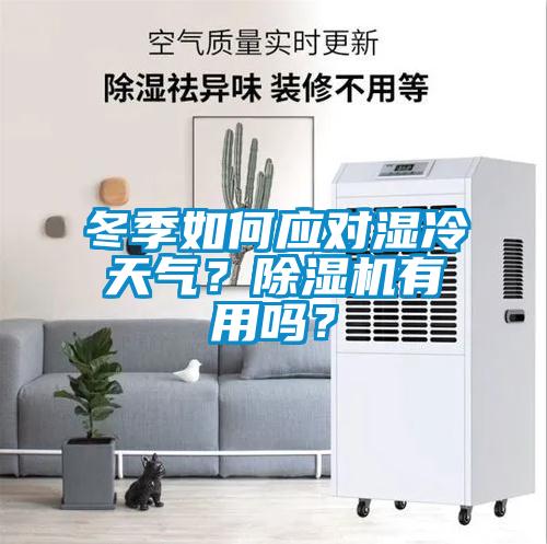 冬季如何應對濕冷天氣？除濕機有用嗎？