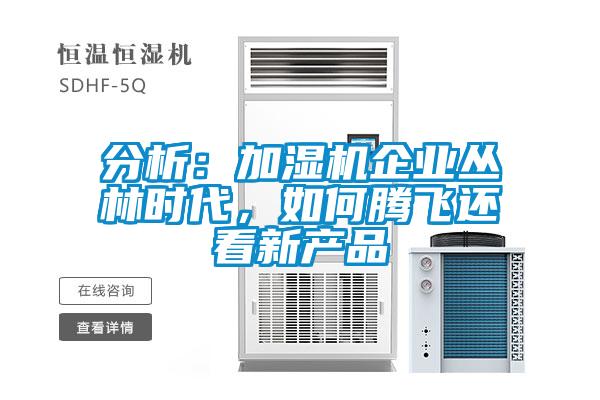 分析：加濕機企業叢林時代，如何騰飛還看新產品