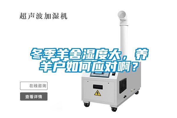 冬季羊舍濕度大，養羊戶如何應對啊？