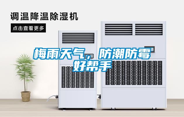 梅雨天氣，防潮防霉好幫手