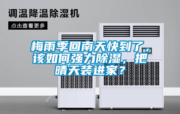 梅雨季回南天快到了，該如何強力除濕，把晴天裝進家？