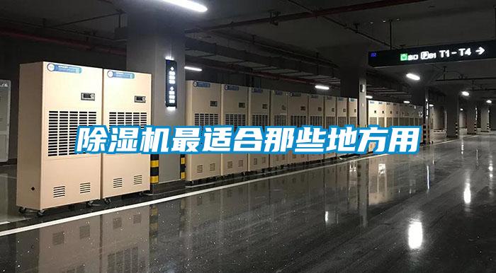 除濕機最適合那些地方用