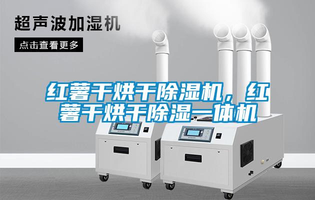 紅薯干烘干除濕機(jī)，紅薯干烘干除濕一體機(jī)
