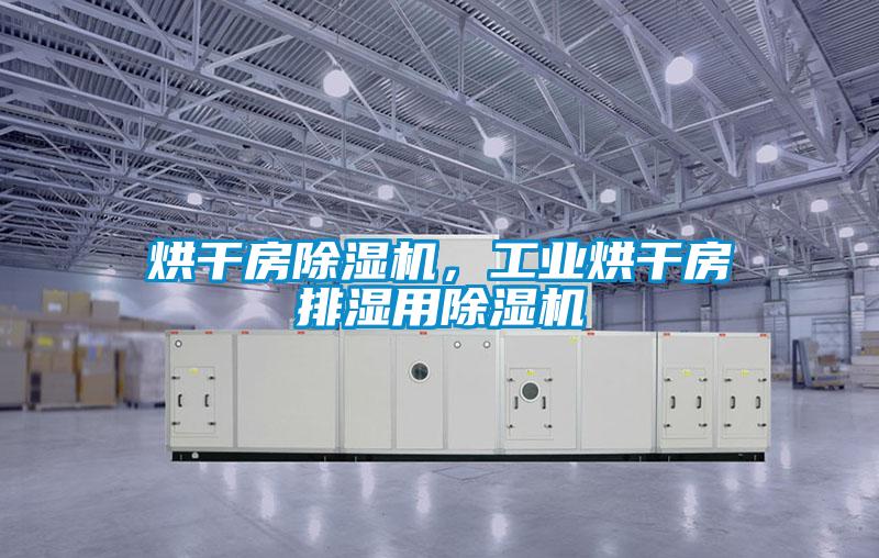 烘干房除濕機，工業(yè)烘干房排濕用除濕機