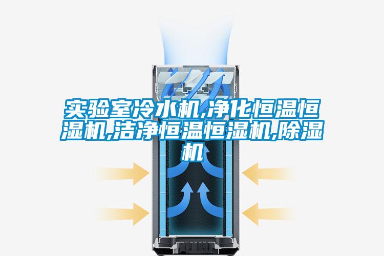 實驗室冷水機(jī),凈化恒溫恒濕機(jī),潔凈恒溫恒濕機(jī),除濕機(jī)