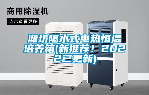 濰坊隔水式電熱恒溫培養(yǎng)箱(新推薦！2022已更新)