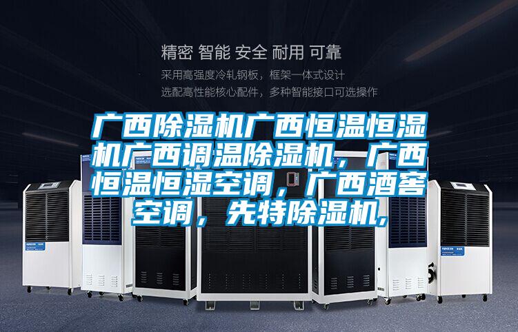 廣西除濕機廣西恒溫恒濕機廣西調溫除濕機，廣西恒溫恒濕空調，廣西酒窖空調，先特除濕機,