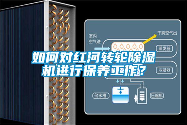 如何對紅河轉輪除濕機進行保養工作？