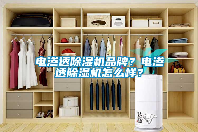 電滲透除濕機品牌？電滲透除濕機怎么樣？