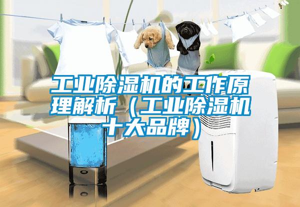 工業除濕機的工作原理解析（工業除濕機十大品牌）