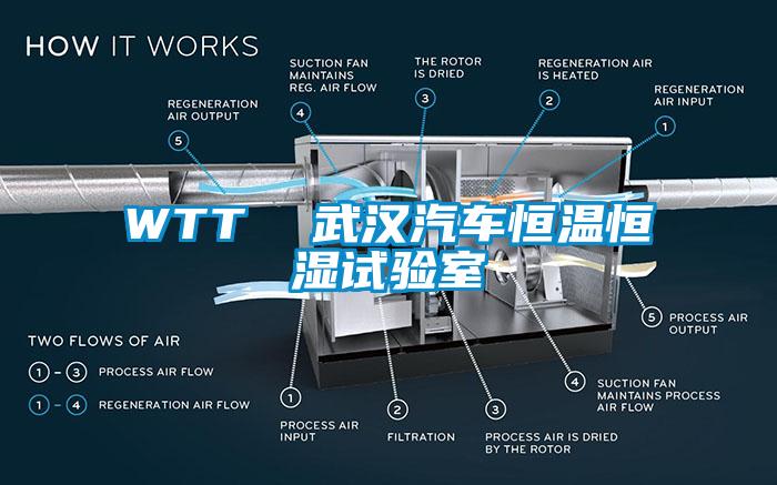 WTT  武漢汽車恒溫恒濕試驗室