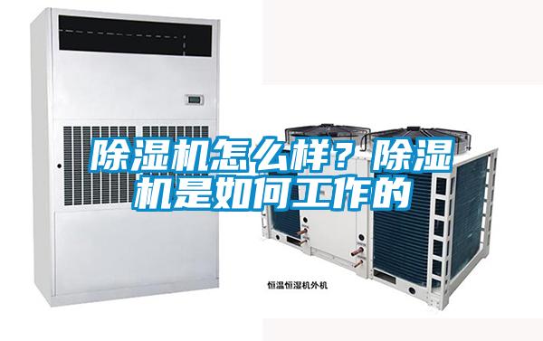 除濕機怎么樣？除濕機是如何工作的