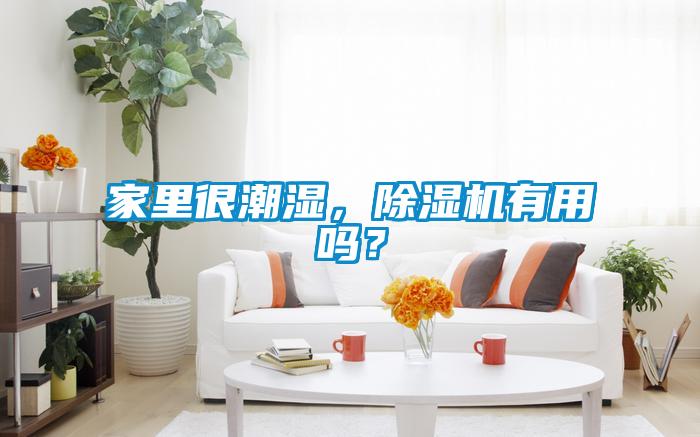 家里很潮濕，除濕機(jī)有用嗎？