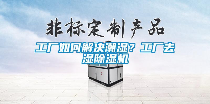 工廠如何解決潮濕？工廠去濕除濕機