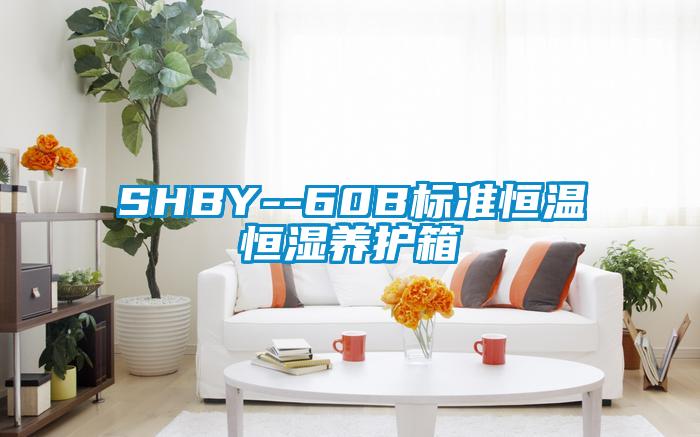 SHBY--60B標準恒溫恒濕養護箱