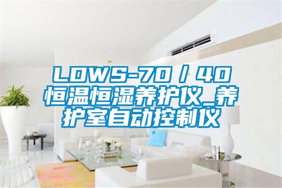 LDWS-70／40恒溫恒濕養護儀_養護室自動控制儀