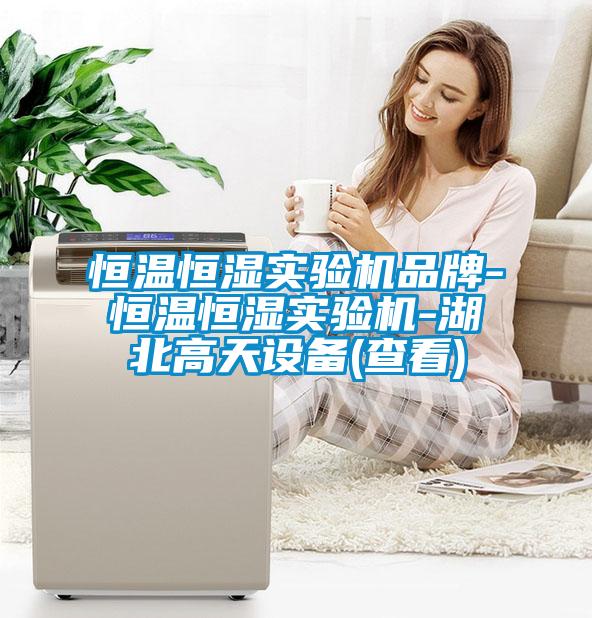 恒溫恒濕實驗機(jī)品牌-恒溫恒濕實驗機(jī)-湖北高天設(shè)備(查看)