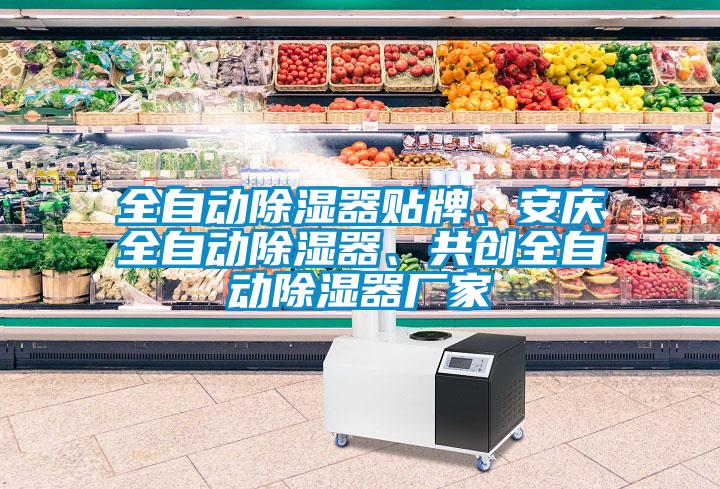 全自動除濕器貼牌、安慶全自動除濕器、共創全自動除濕器廠家