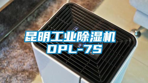 昆明工業除濕機 DPL-7S