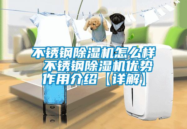 不銹鋼除濕機怎么樣 不銹鋼除濕機優勢作用介紹【詳解】