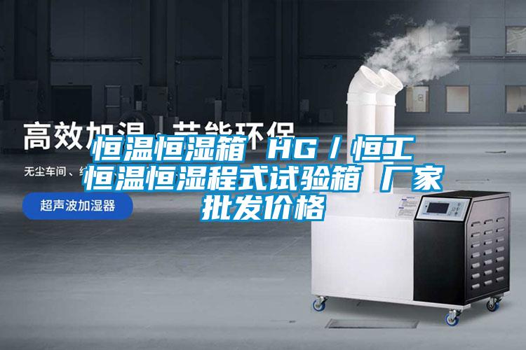 恒溫恒濕箱 HG／恒工 恒溫恒濕程式試驗(yàn)箱 廠家批發(fā)價格