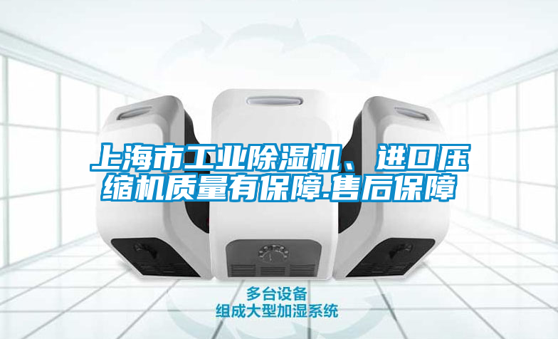 上海市工業除濕機、進口壓縮機質量有保障.售后保障