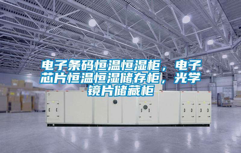 電子條碼恒溫恒濕柜，電子芯片恒溫恒濕儲存柜，光學鏡片儲藏柜