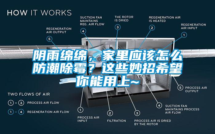 陰雨綿綿，家里應該怎么防潮除霉？這些妙招希望你能用上~