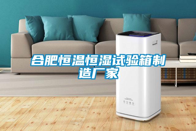 合肥恒溫恒濕試驗(yàn)箱制造廠(chǎng)家