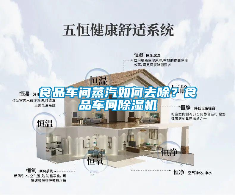 食品車間蒸汽如何去除？食品車間除濕機(jī)