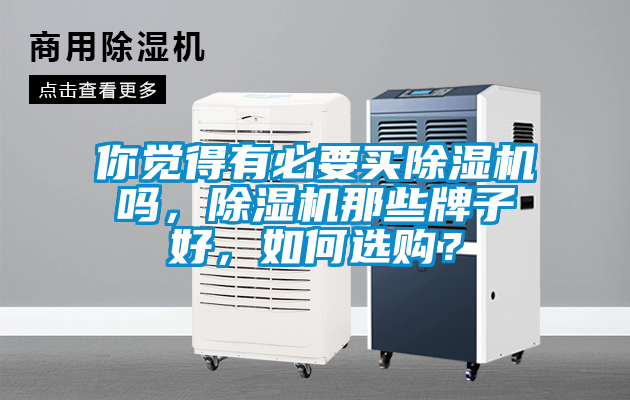 你覺得有必要買除濕機(jī)嗎，除濕機(jī)那些牌子好，如何選購？