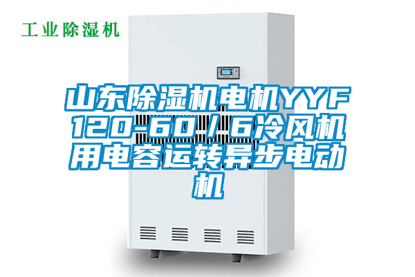 山東除濕機電機YYF120-60／6冷風機用電容運轉異步電動機