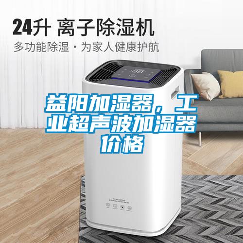 益陽加濕器，工業超聲波加濕器價格