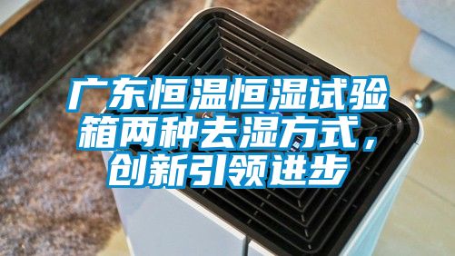 廣東恒溫恒濕試驗箱兩種去濕方式，創(chuàng)新引領(lǐng)進步