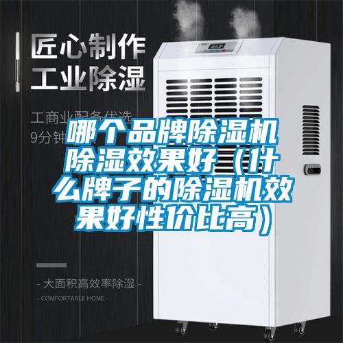 哪個品牌除濕機除濕效果好（什么牌子的除濕機效果好性價比高）