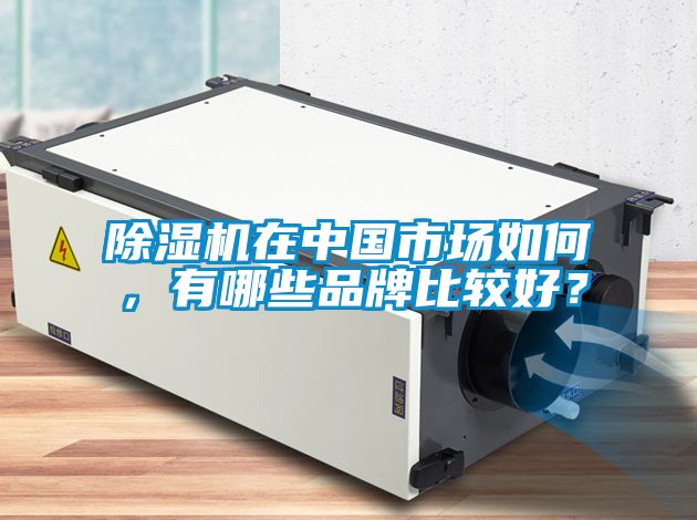 除濕機(jī)在中國(guó)市場(chǎng)如何，有哪些品牌比較好？