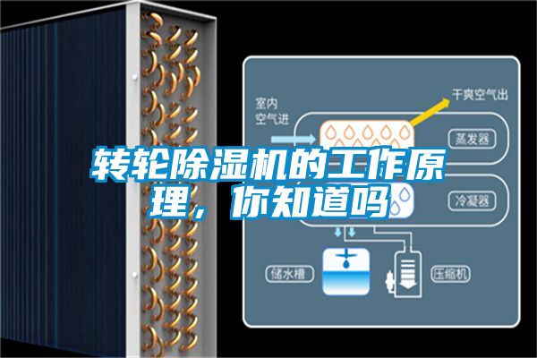 轉(zhuǎn)輪除濕機的工作原理，你知道嗎