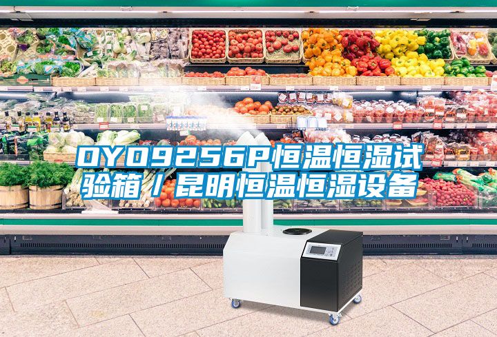 OYO9256P恒溫恒濕試驗箱／昆明恒溫恒濕設備