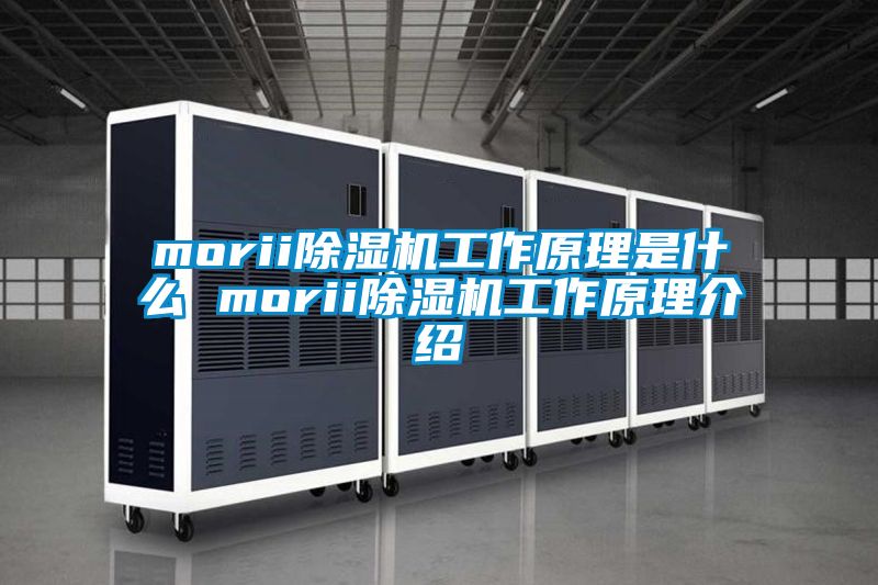 morii除濕機(jī)工作原理是什么 morii除濕機(jī)工作原理介紹