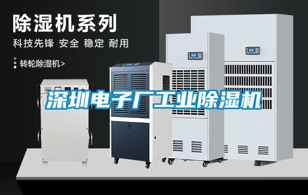 深圳電子廠工業(yè)除濕機(jī)