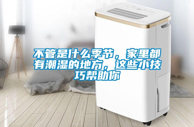 不管是什么季節(jié)，家里都有潮濕的地方，這些小技巧幫助你