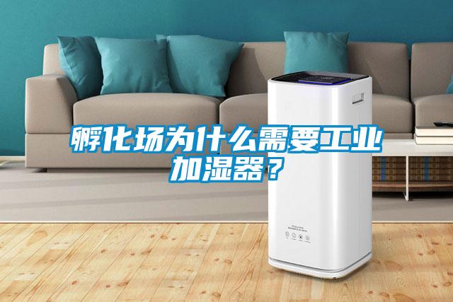 孵化場為什么需要工業加濕器？