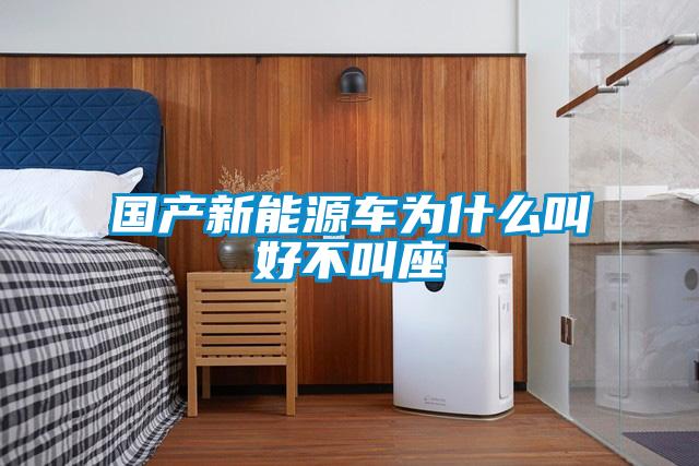 國(guó)產(chǎn)新能源車為什么叫好不叫座