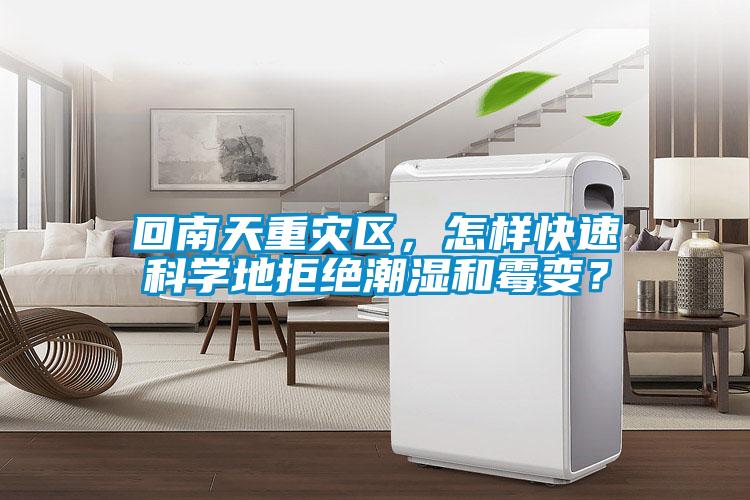 回南天重災區(qū)，怎樣快速科學地拒絕潮濕和霉變？