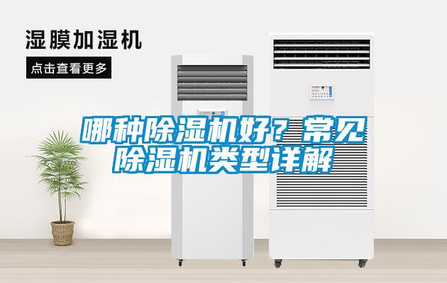 哪種除濕機好？常見除濕機類型詳解
