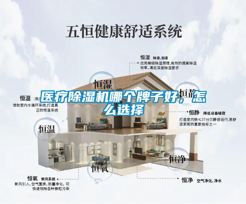 醫療除濕機哪個牌子好，怎么選擇